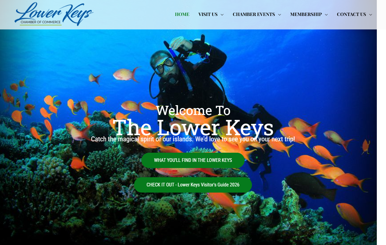 Placeholder preview for Project Five